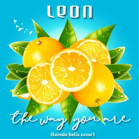 Leon - The Way You Are