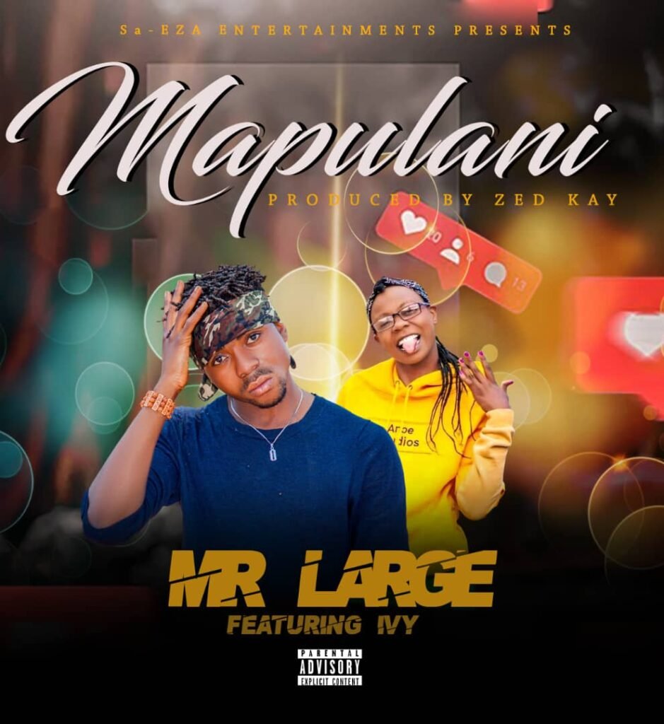 Mr Large Mapulani